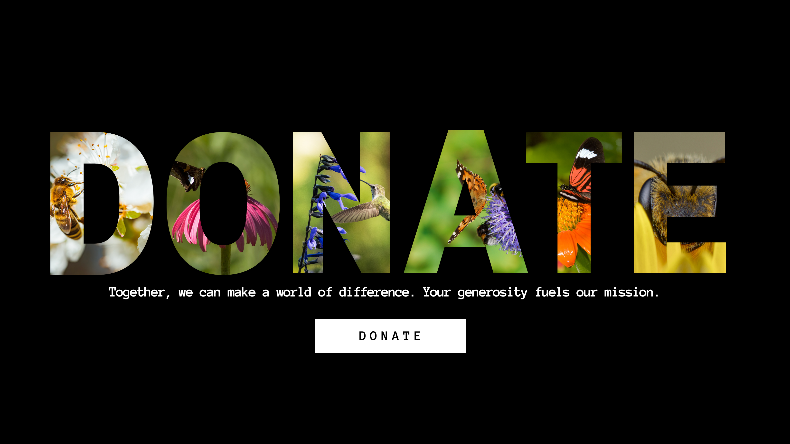 Groundwork Somerville Groundwork Somerville