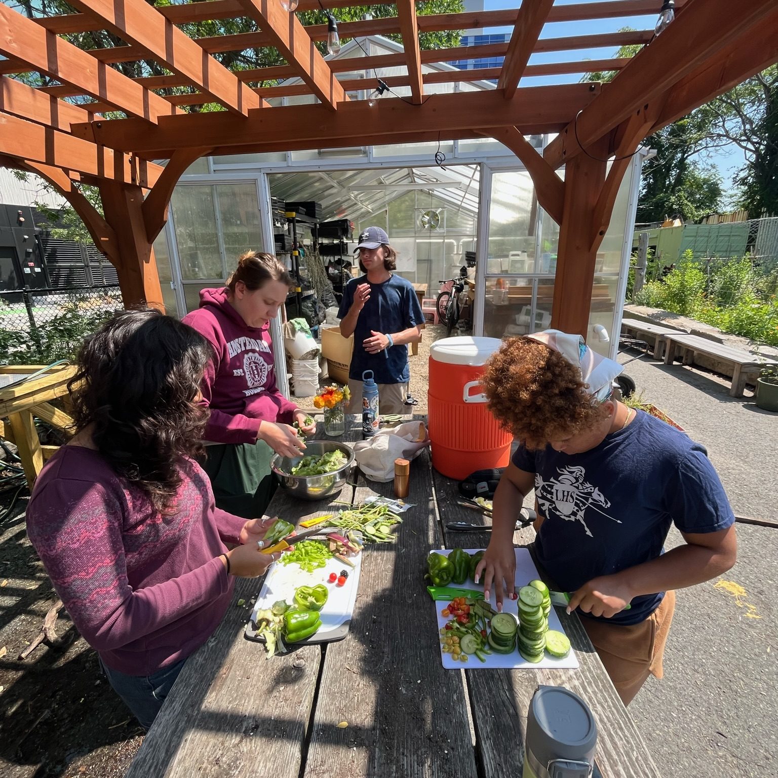 For our last day of Green Team, we made a communal salad with cucumbers, lettuce and tomatoes from the farm.